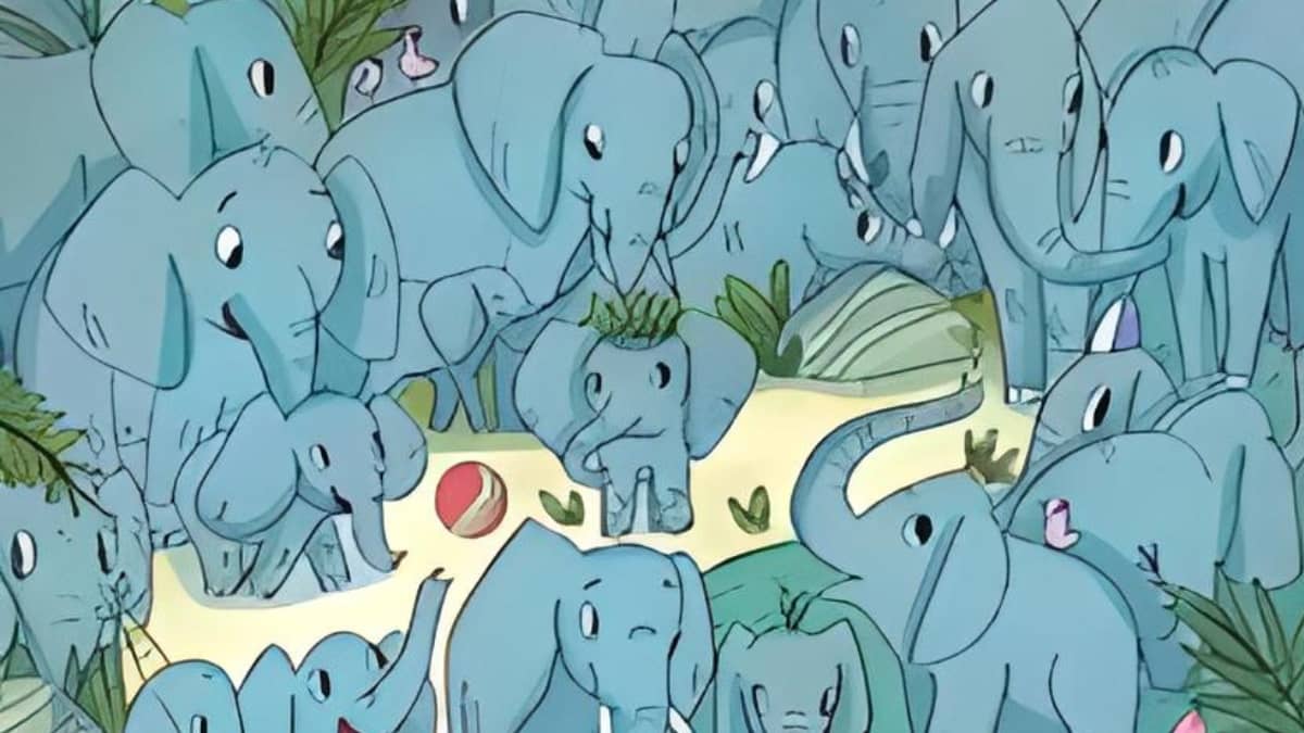 Illusion d'optique : Trouvez le rhinocéros parmi les éléphants en 9 secondes